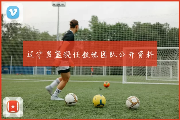 辽宁男篮现任教练团队公开资料