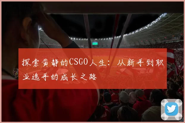探索黄静的CSGO人生：从新手到职业选手的成长之路