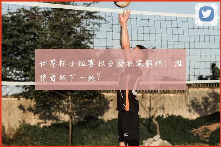 世界杯小组赛积分榜独家解析：谁将晋级下一轮？