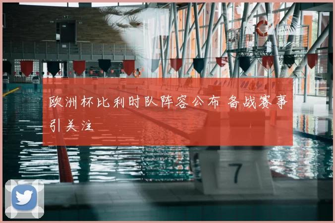 欧洲杯比利时队阵容公布 备战赛事引关注