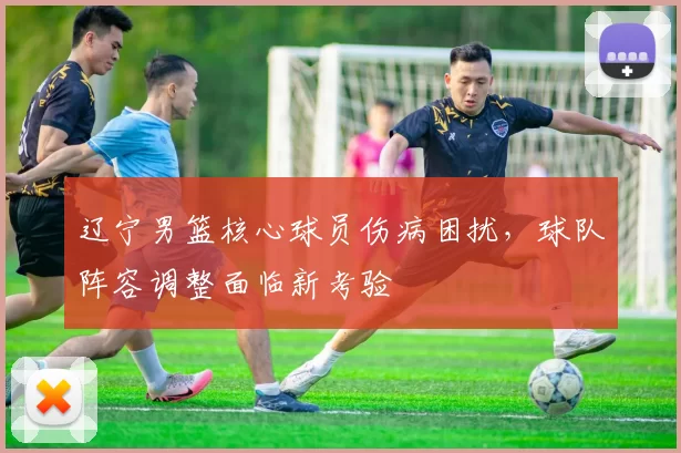 辽宁男篮核心球员伤病困扰,球队阵容调整面临新考验