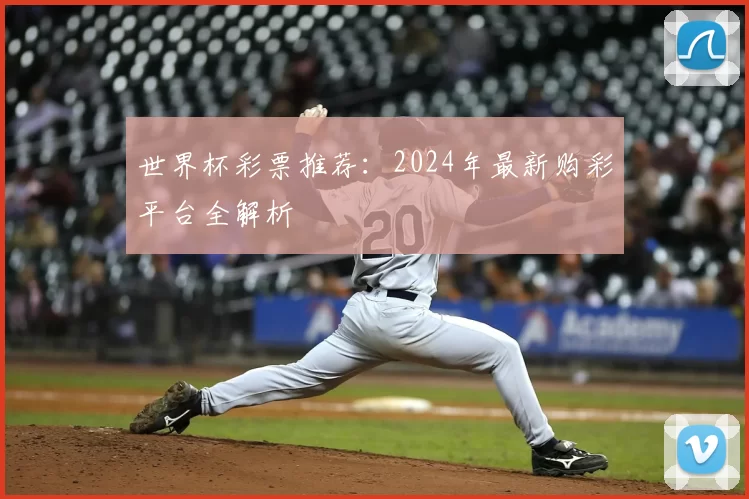 世界杯彩票推荐:2024年最新购彩平台全解析