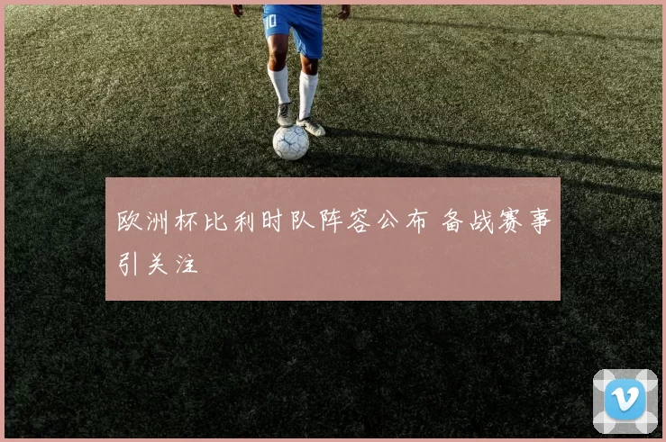 欧洲杯比利时队阵容公布 备战赛事引关注