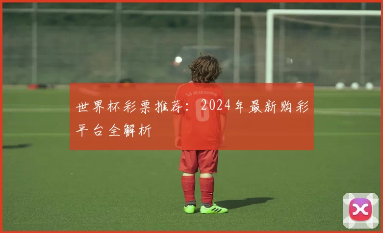 世界杯彩票推荐：2024年最新购彩平台全解析