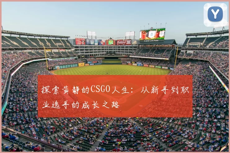 探索黄静的CSGO人生：从新手到职业选手的成长之路