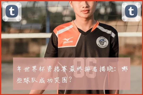 年世界杯资格赛最终排名揭晓:哪些球队成功突围?