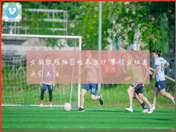 女排欧冠抽签结果出炉 赛程分组看点引关注