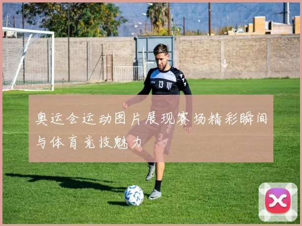 奥运会运动图片展现赛场精彩瞬间与体育竞技魅力